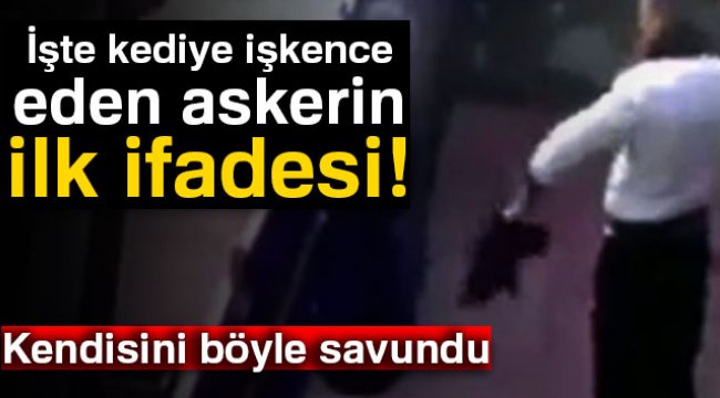 Iste Kediye Iskence Eden Askerin Ilk Ifadesi Gundem Maras Yenigun